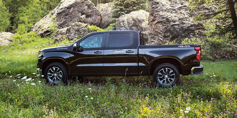 A black truck stands on the grass near hills left view