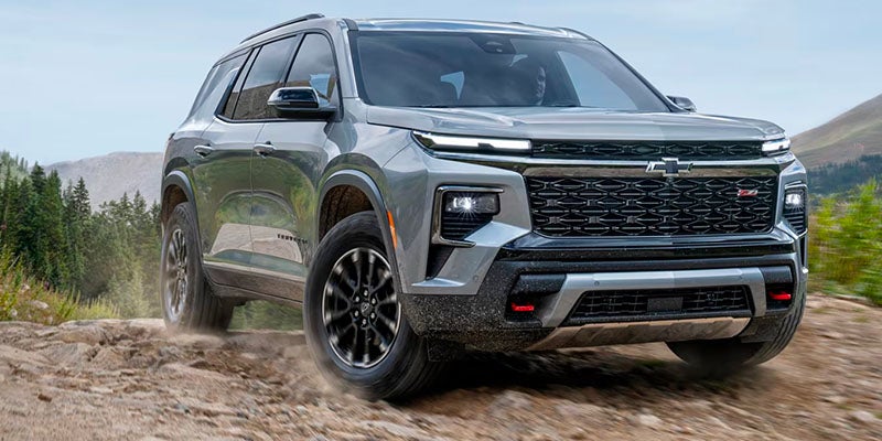 A travers running on hills near jungle